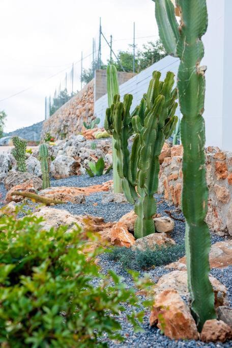 Agro Nostro-agave With Superb View Casa vacanze *