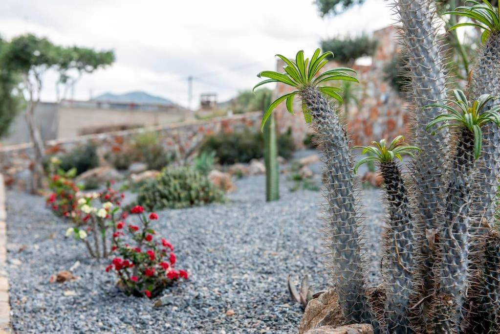 Casa vacanze Agro Nostro-agave With Superb View *